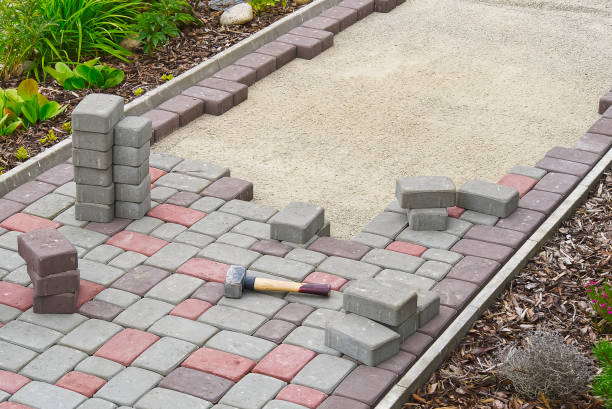 Best Driveway Paving Contractor  in Roan Mountain, TN