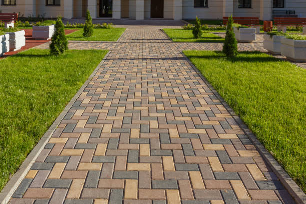 Best Cobblestone Driveway Pavers  in Roan Mountain, TN